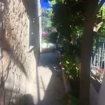 Sole