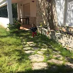 Sole Willa Bari