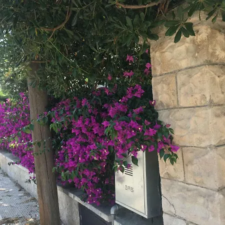 Sole * Bari